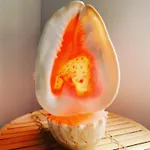 Belle De Nuit 民宿 奥斯滕德