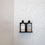 Belle De Nuit 奥斯滕德