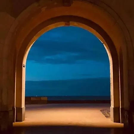 Belle De Nuit