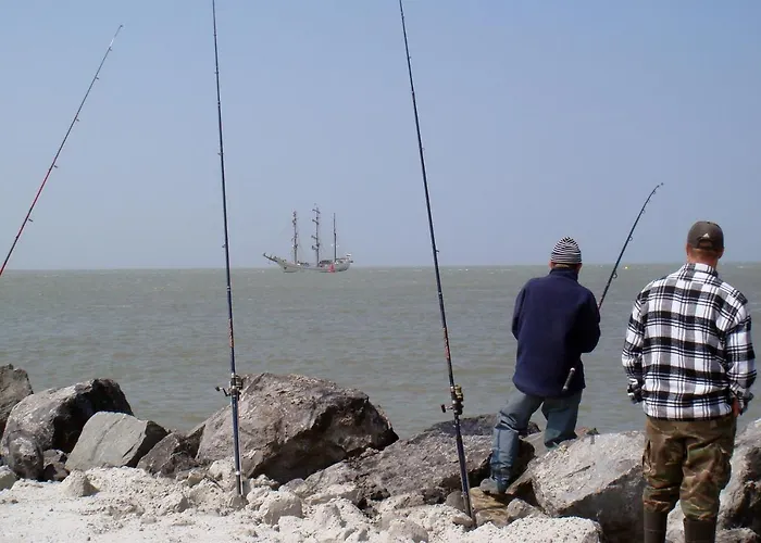 Belle De Nuit * Ostende