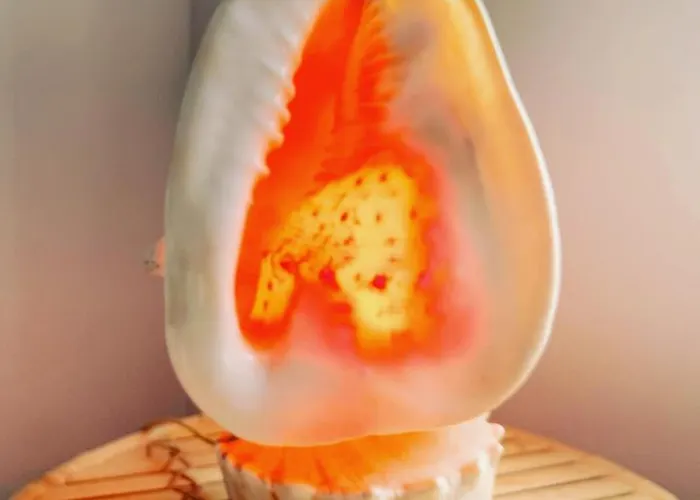 Belle De Nuit Habitación en casa particular Ostende