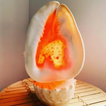 Belle De Nuit Проживание в семье Остенде