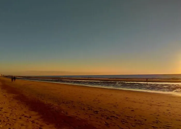 Belle De Nuit Séjour chez l'habitant Ostende