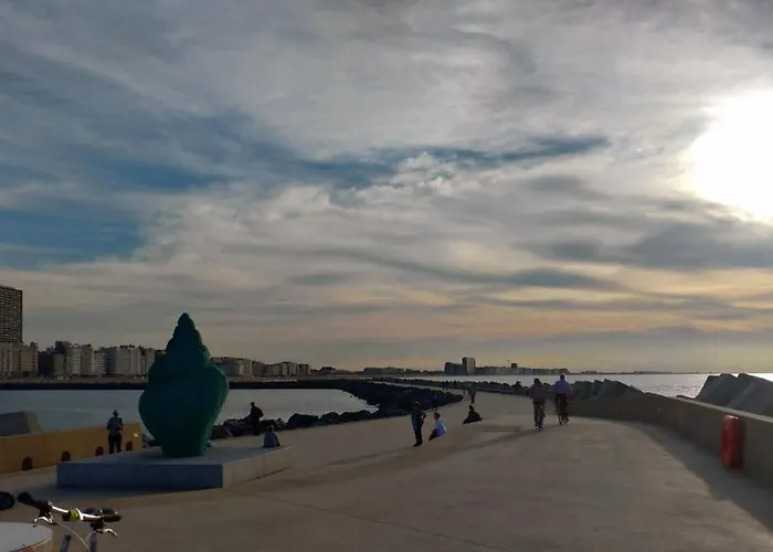 Belle De Nuit Séjour chez l'habitant Ostende