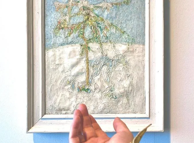 Belle De Nuit Homestay