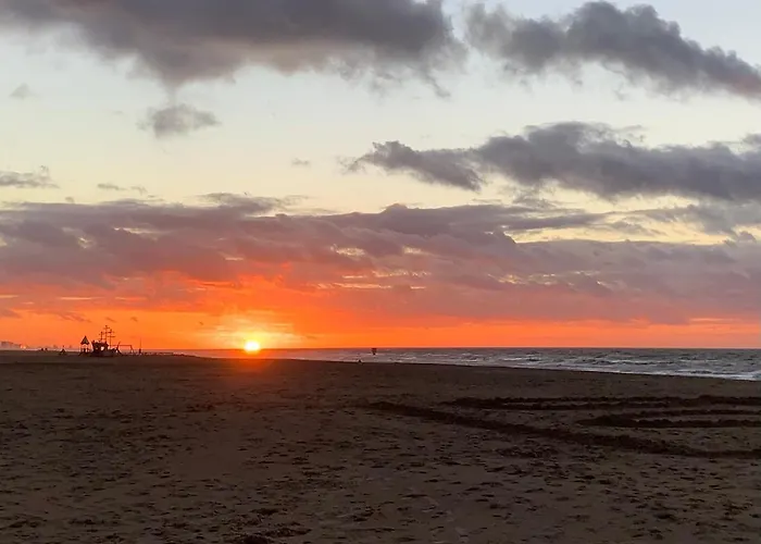 Belle De Nuit Homestay