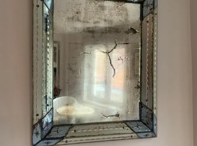 Belle De Nuit Ostende