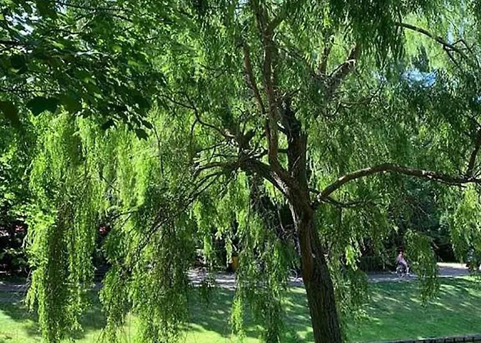Séjour chez l'habitant Belle De Nuit Ostende